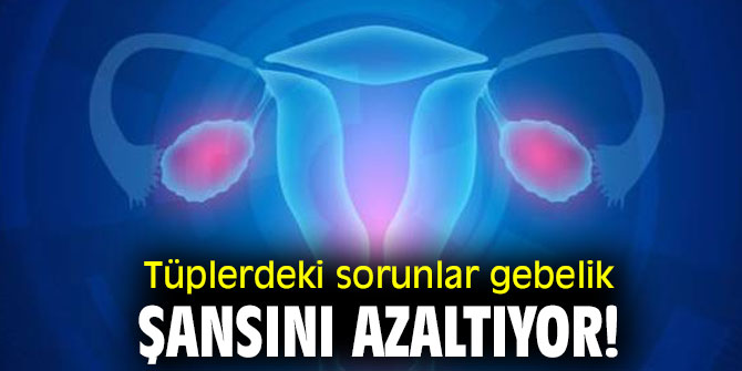 Uzmanı açıkladı! Tüplerdeki sorunlar gebelik şansını azaltıyor!