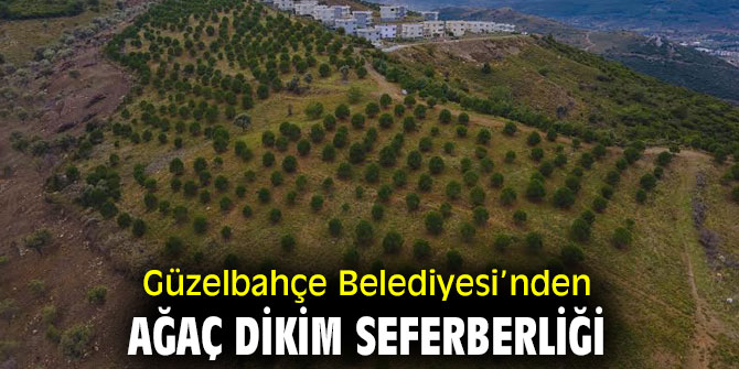 Güzelbahçe Belediyesi’nden Ağaç Dikim Seferberliği