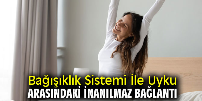 Bağışıklık Sistemi İle Uyku arasındaki inanılmaz bağlantı
