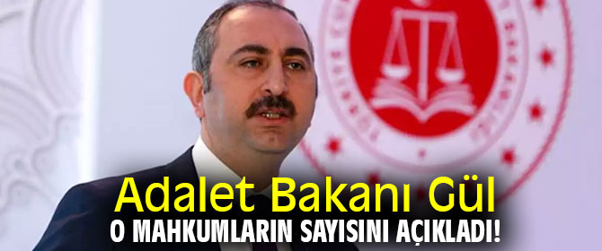 Adalet Bakanı Gül o mahkumların sayısını açıkladı!