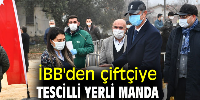 İBB'den çiftçiye tescilli yerli manda