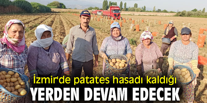 İzmir'de patates üreticisi ürününü kış sonuna saklıyor