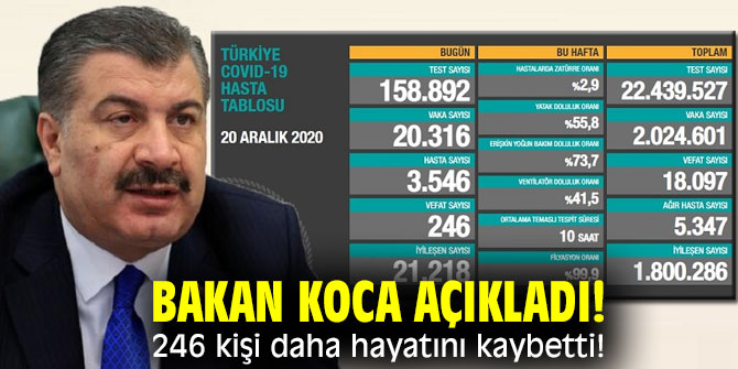 Bakan Koca açıkladı! 246 kişi daha hayatını kaybetti! 