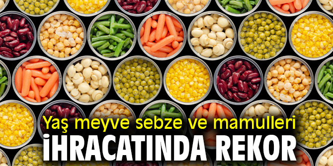 Yaş meyve sebze ve mamulleri ihracatında rekor