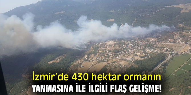 İzmir’de 430 hektar ormanın yanmasına ile ilgili flaş gelişme!