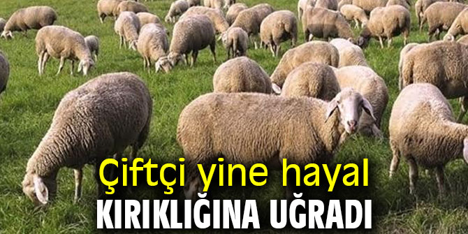 Çiftçi yine hayal kırıklığına uğradı