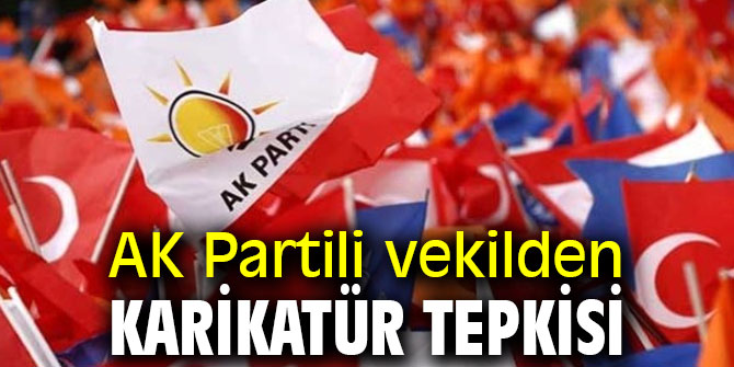AK Partili vekilden karikatür tepkisi