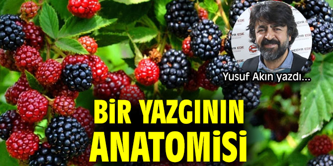 BİR YAZGININ ANATOMİSİ