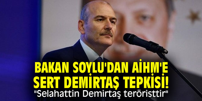 Bakan Soylu'dan AİHM'e sert Demirtaş tepkisi! "Selahattin Demirtaş teröristtir"