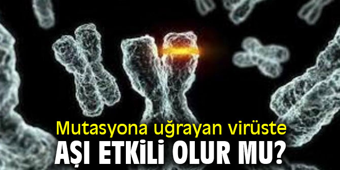 Mutasyona uğrayan virüste aşı etkili olur mu?