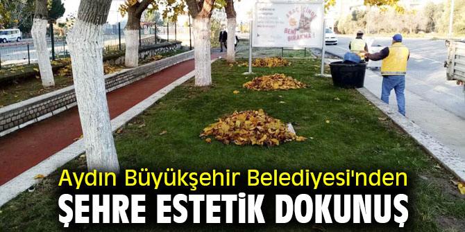 Aydın Büyükşehir Belediyesi'nden şehre estetik dokunuş