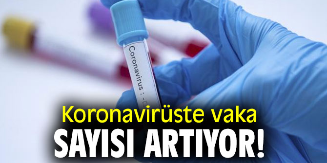 Koronavirüste vaka sayısı artıyor!