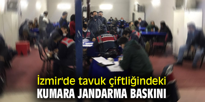 İzmir'de tavuk çiftliğindeki kumara jandarma baskını