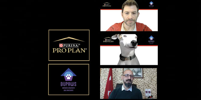 “4 Pati 1 Dost” online etkinliği gerçekleştirildi!