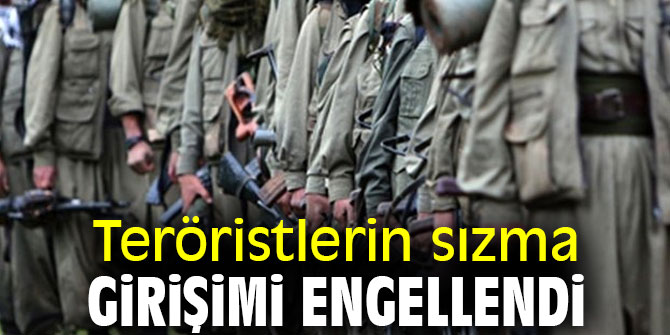 Barış Pınarı bölgesinde sızma girişimi engellendi