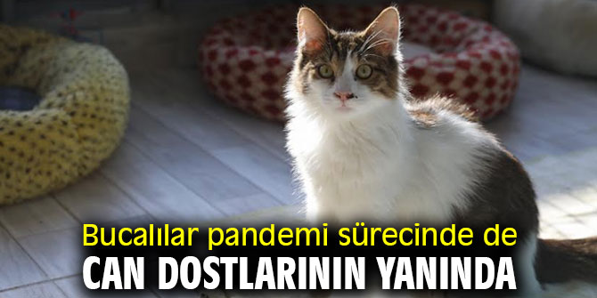 Başkan Kılıç: “Hayatınıza sadık bir dost katın”