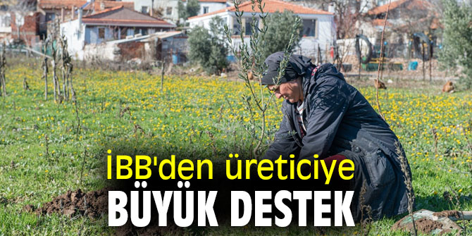 İBB'den üreticiye büyük destek 