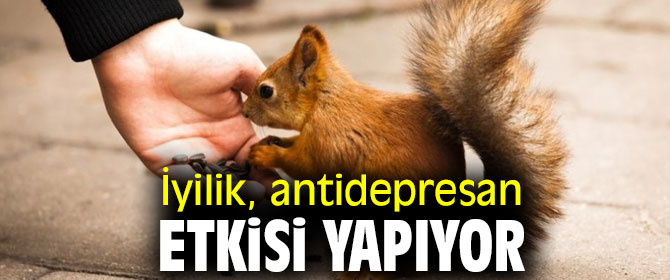 İyilik yapmanın antidepresan etkisi var