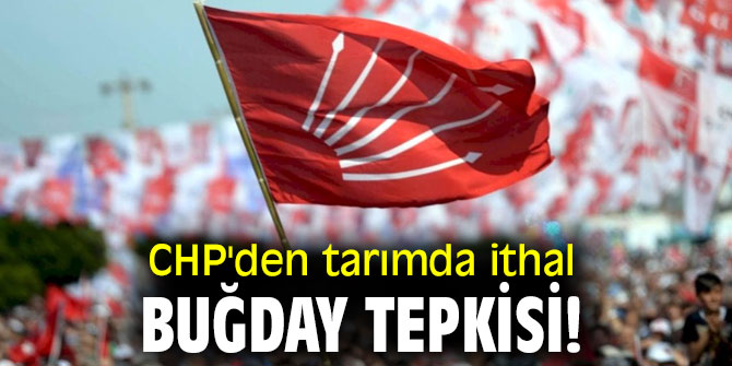  CHP'den tarımda ithal buğday tepkisi!