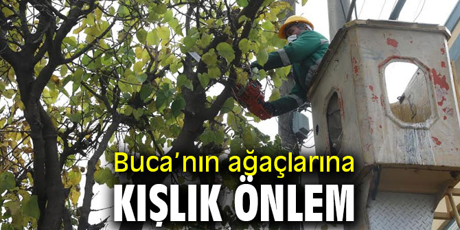 Buca’nın ağaçlarına kışlık önlem 