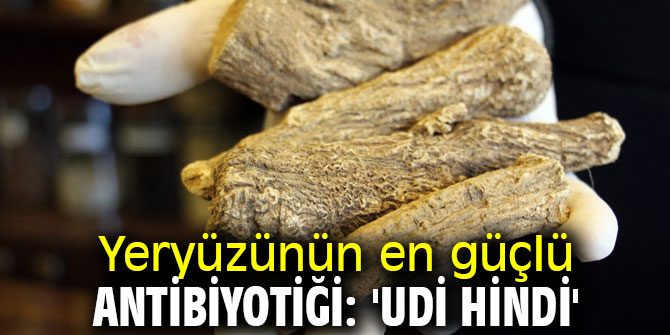 Yeryüzünün en güçlü antibiyotiği!