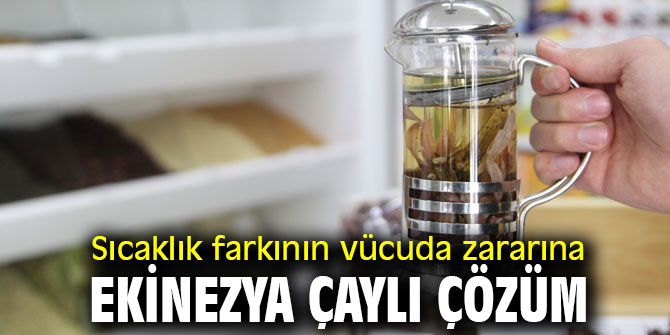 Ekinezya çayının bilinmeyen özellikleri!