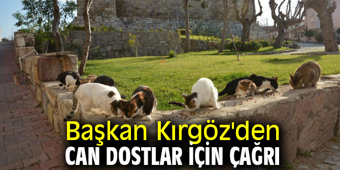 Başkan Kırgöz'den can dostlar için çağrı