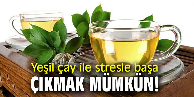 Yeşil çay ile stresle başa çıkın