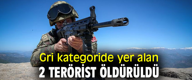 Bakanlık açıkladı! Gri kategoride yer alan 2 terörist öldürüldü
