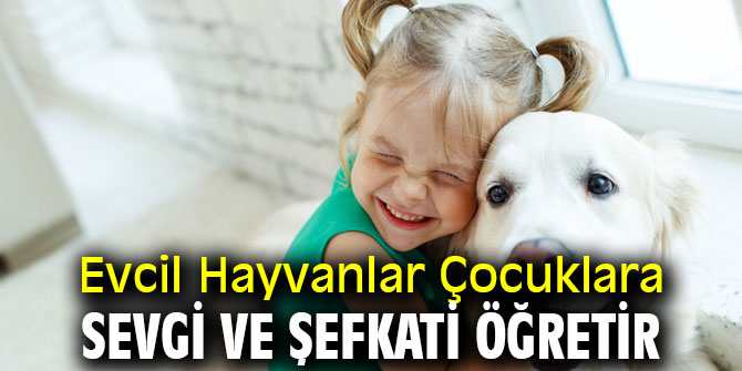 Uzmanı açıkladı! Evcil Hayvanlar Çocuklara Sevgi ve Şefkati Öğretir