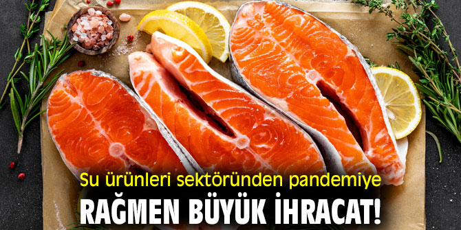 Su ürünleri sektöründen pandemiye rağmen büyük ihracat!
