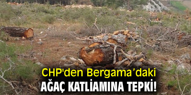 CHP'den Bergama’daki ağaç katliamına tepki!