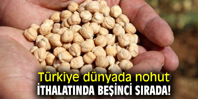 Türkiye dünyada nohut ithalatında beşinci sırada!