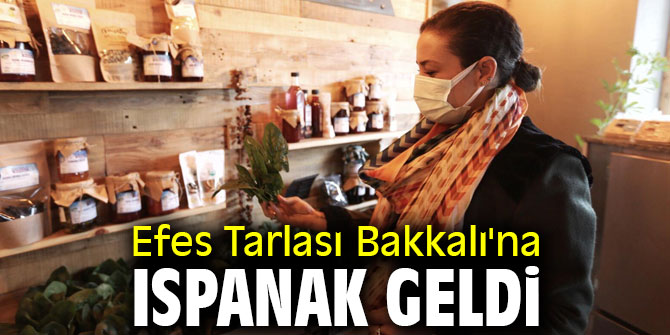 Efes Tarlası Bakkalı'na ıspanak geldi