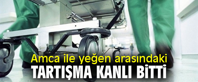 Amca ile yeğen arasındaki tartışma kanlı bitti