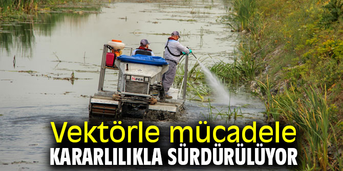 Vektörle mücadele kararlılıkla sürdürülüyor