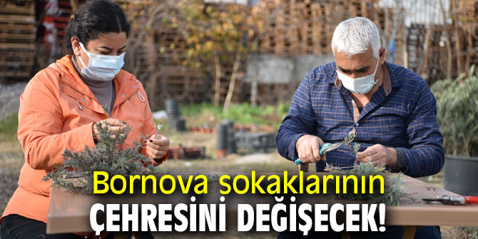 Bornova sokaklarının çehresini değişecek!