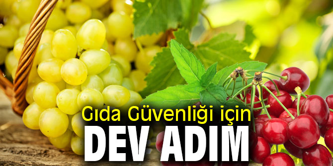 9 üründe pestisit analizleri yapılacak