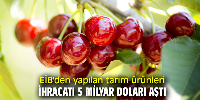  Ege İhracatçı Birlikleri'nden yapılan tarım ürünleri ihracatı 5 milyar doları aştı