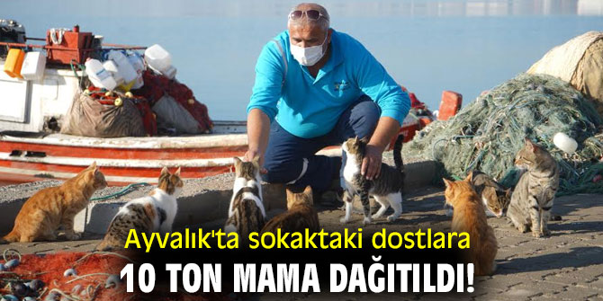 Ayvalık'ta sokaktaki dostlara 10 ton mama dağıtıldı!