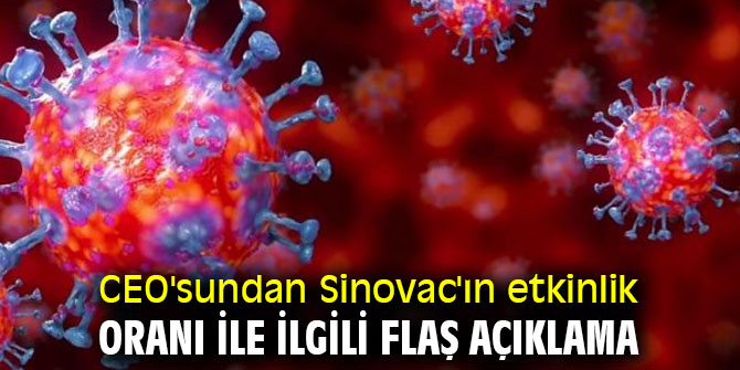 Sinovac'ın etkinlik oranı ile ilgili flaş açıklama!