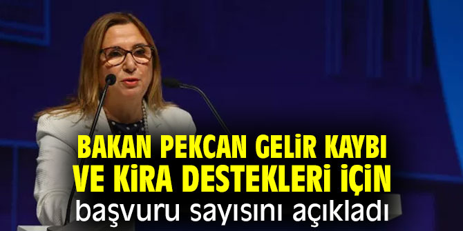 Bakan Pekcan gelir kaybı ve kira destekleri için başvuru sayısını açıkladı