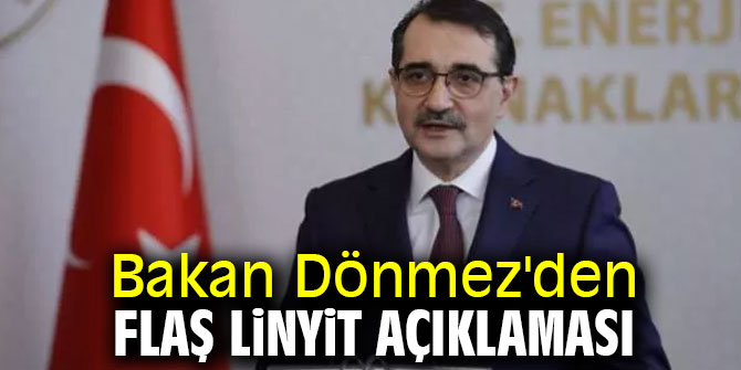 Bakan Dönmez'den flaş linyit açıklaması