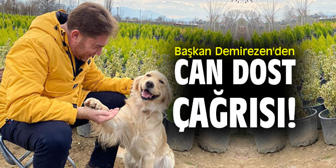 Başkan Demirezen'den can dost çağrısı!