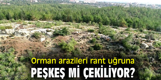 Orman arazileri rant uğruna peşkeş mi çekiliyor?