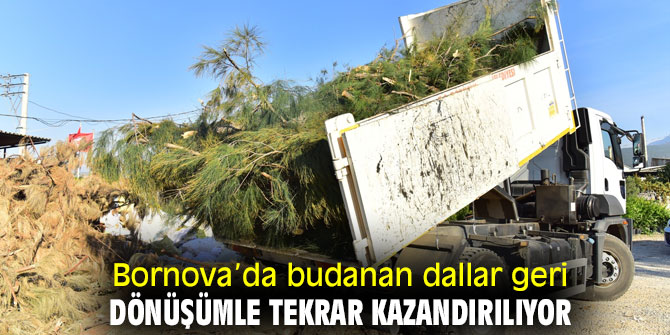 Bornova’da budanan dallar geri dönüşümle tekrar kazandırılıyor