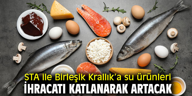 Birleşik Krallık’a su ürünleri ihracatı katlanarak artacak