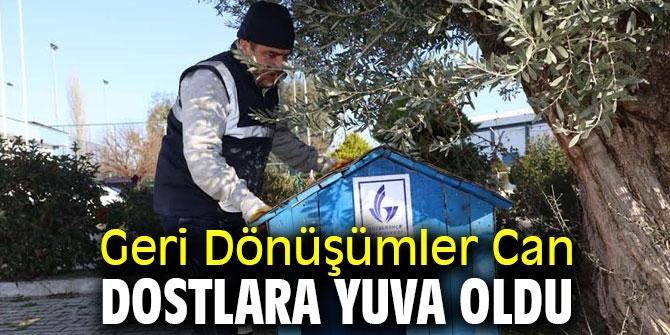 Geri Dönüşümler Can Dostlara Yuva Oldu