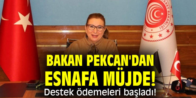 Ticaret Bakanı Pekcan'dan esnafa müjde! Destek ödemeleri başladı!