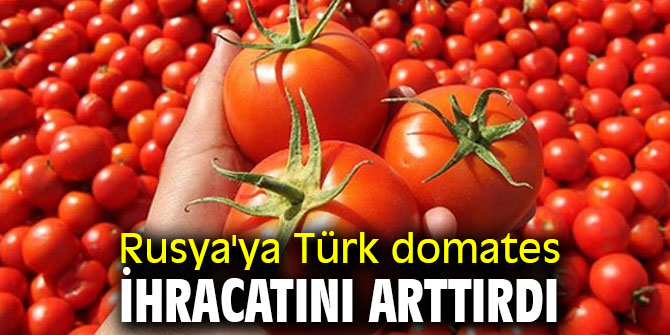 Rusya'ya Türk domates ihracatını arttırdı